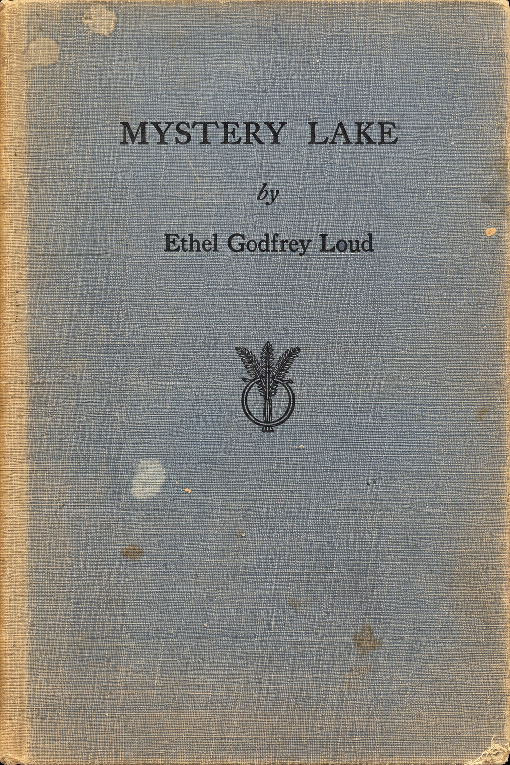cover of Mystery Lake