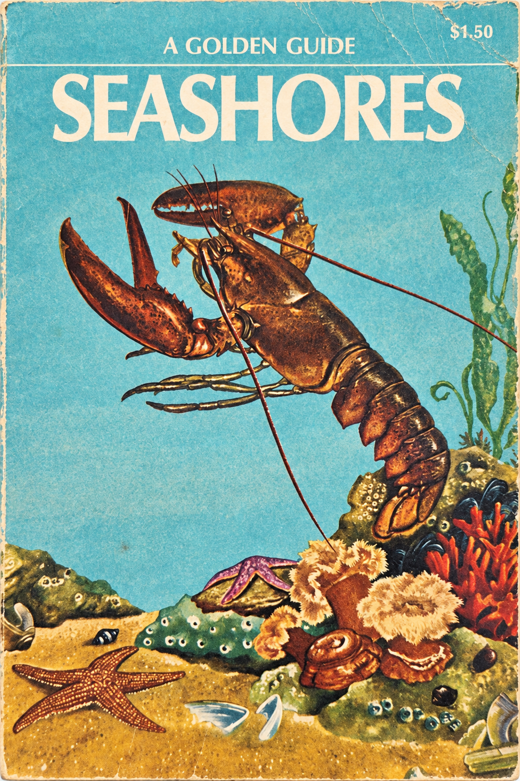 cover of Seashores