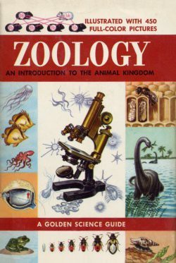 cover of Zoology