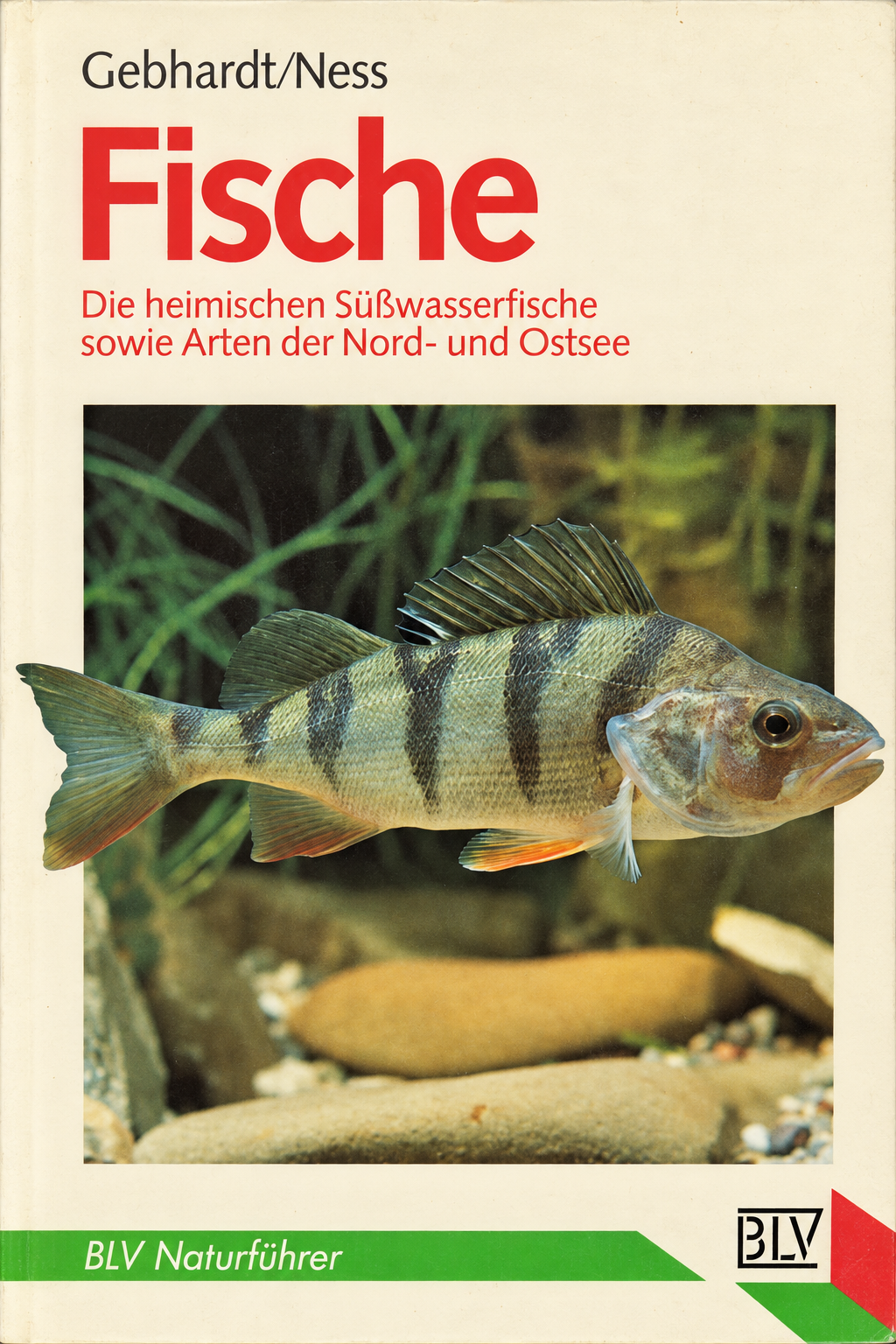 cover of Fische