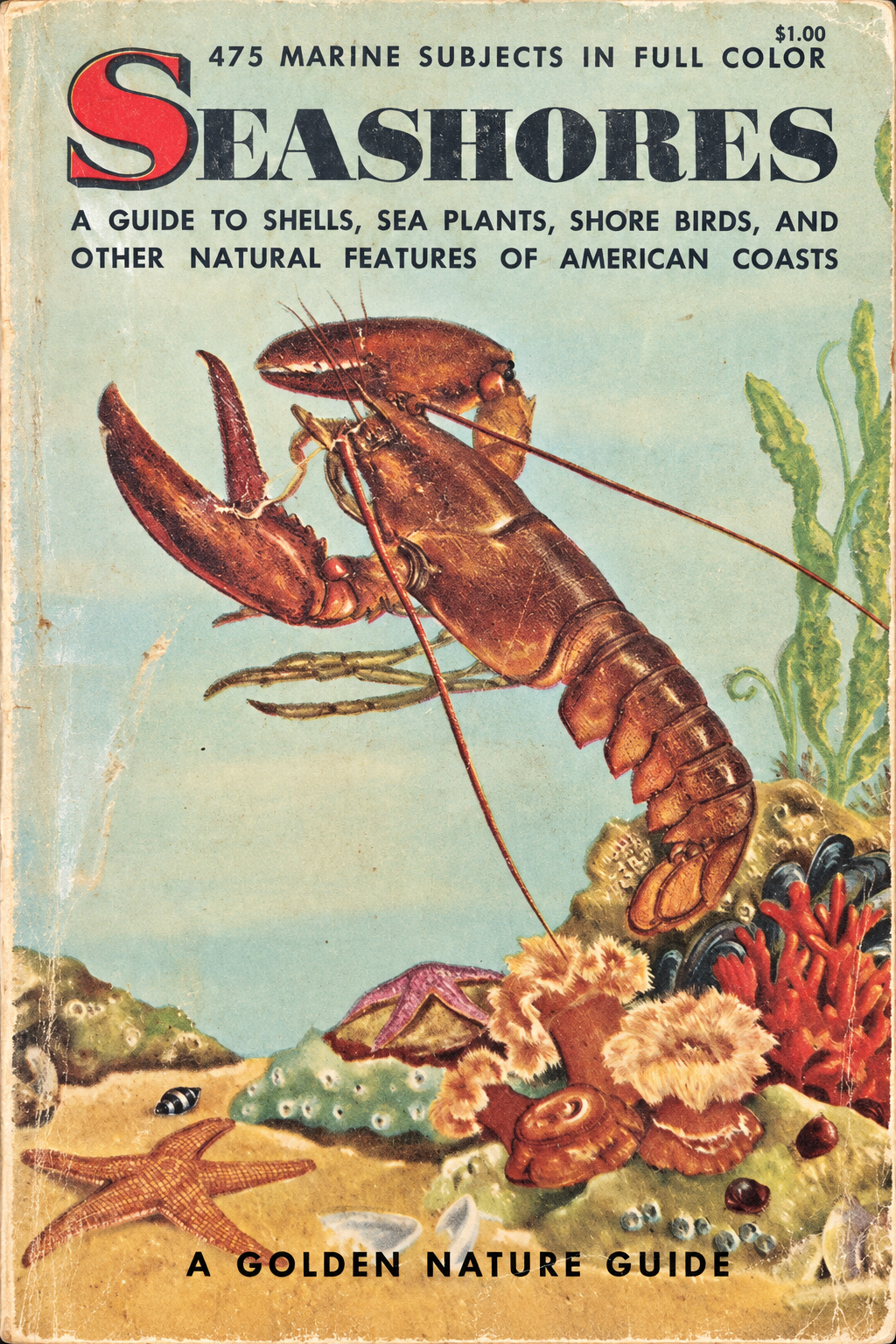 cover of Seashores