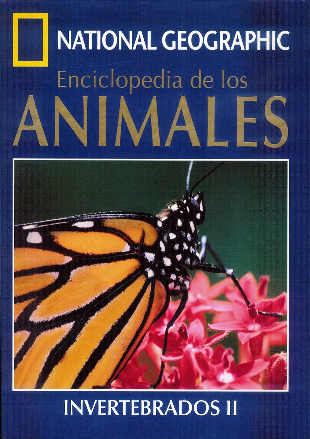 cover of Enciclopedia de los animales, vol. 10