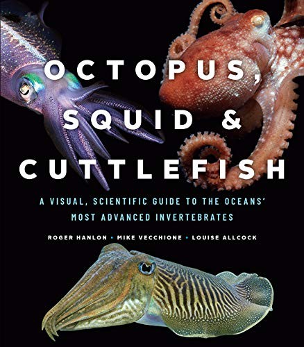 cover of Octopus, Squid, and Cuttlefish